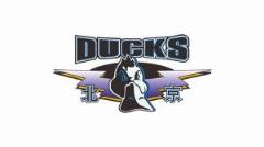 北京隊總決賽前兩場主場門票明日開售 最低180元最高1980元