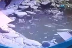 魯媒發(fā)布韓鵬救人視頻：2020年10秒救起落水男童